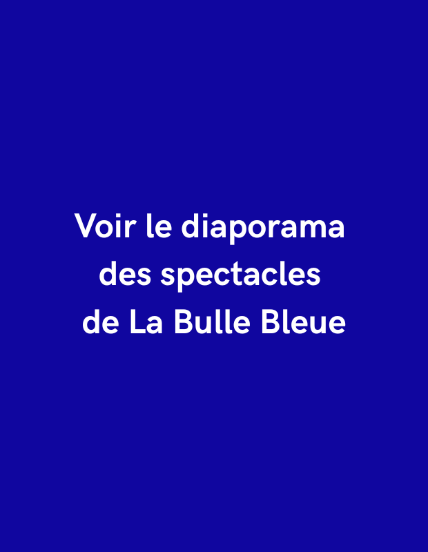 Voir%20le%20diaporama%20des%20spectacles%20depuis%202012